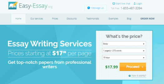 Best essay writing service picture