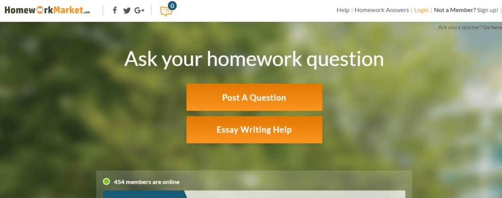 HomeWorkMarket review